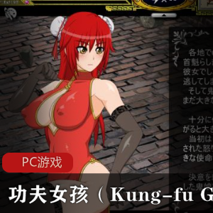 【ACT/flash/PC】功夫女孩（Kung-fu Girl）2.4【150M/度盘】